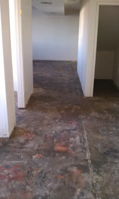 Hallway with the old flooring removed during the San Leandro tenant improvement
