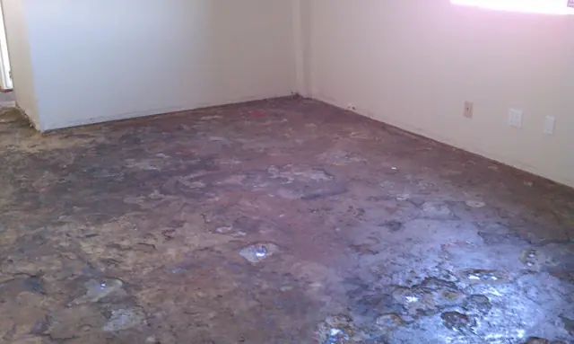Office floor stripped before new flooring in the San Leandro building